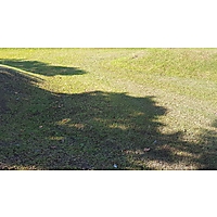 Maury muck TEST image